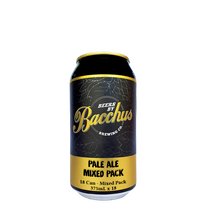 PALE ALE CASE - Mixed Special